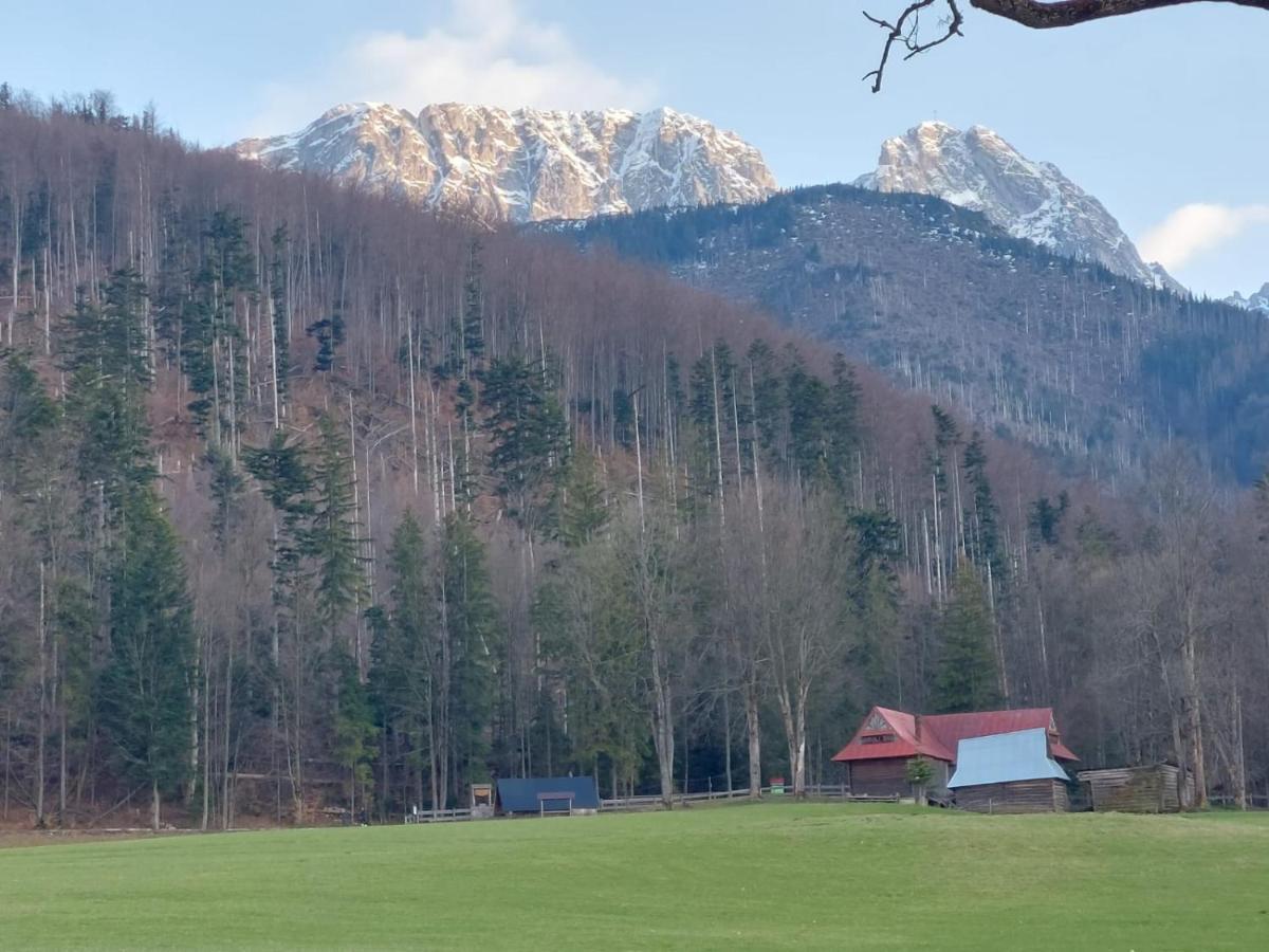Apartament 3 Strazyska 21A Zakopane Bagian luar foto